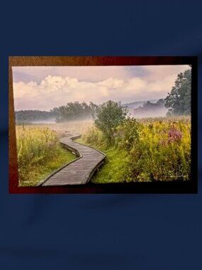 Nick Zungoli "Dream Walk" Canvas Print On Stretched Thin Canvas 8 x 12